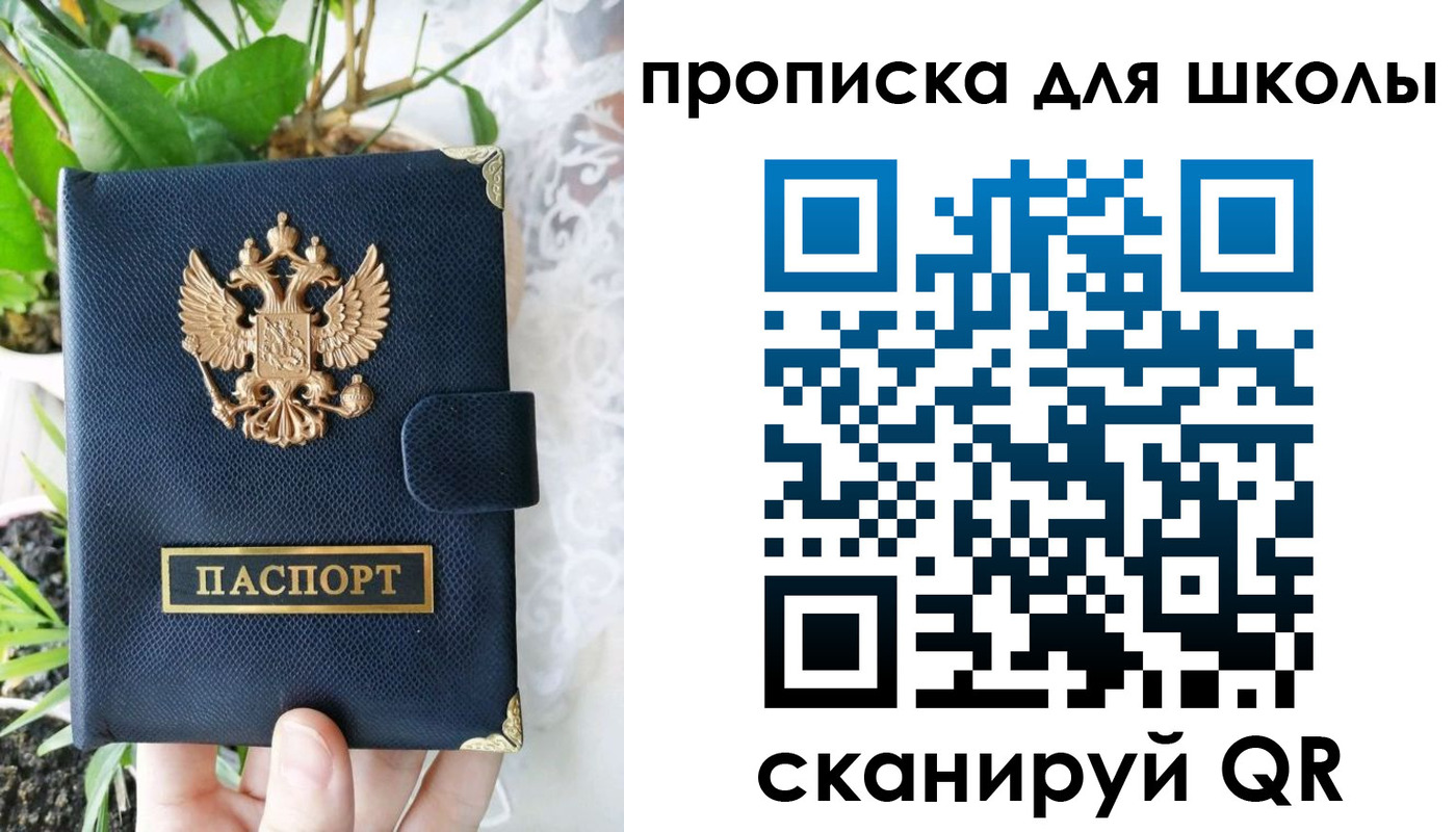 прописка штамп в Лузе